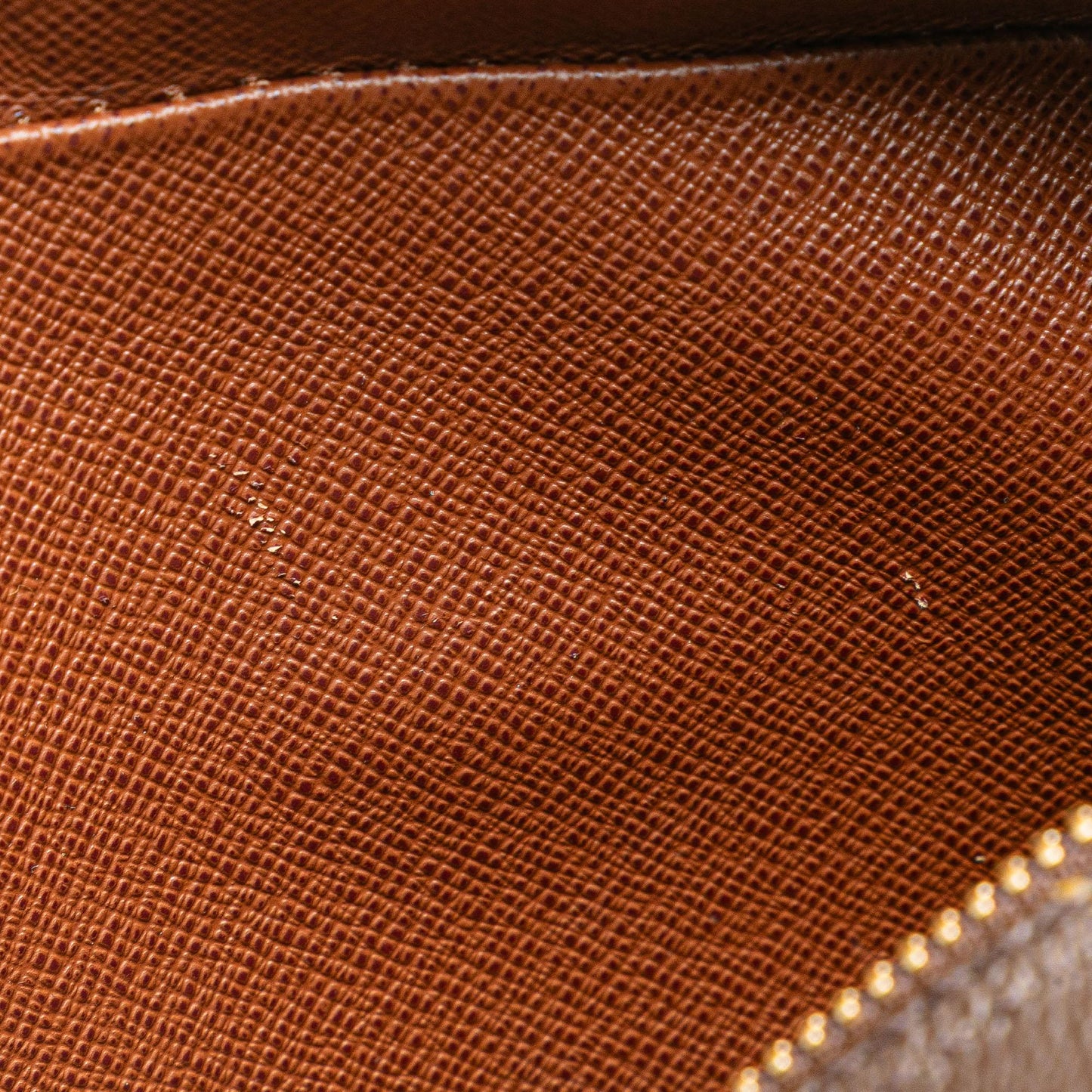 Louis Vuitton Monogram Nil Crossbody