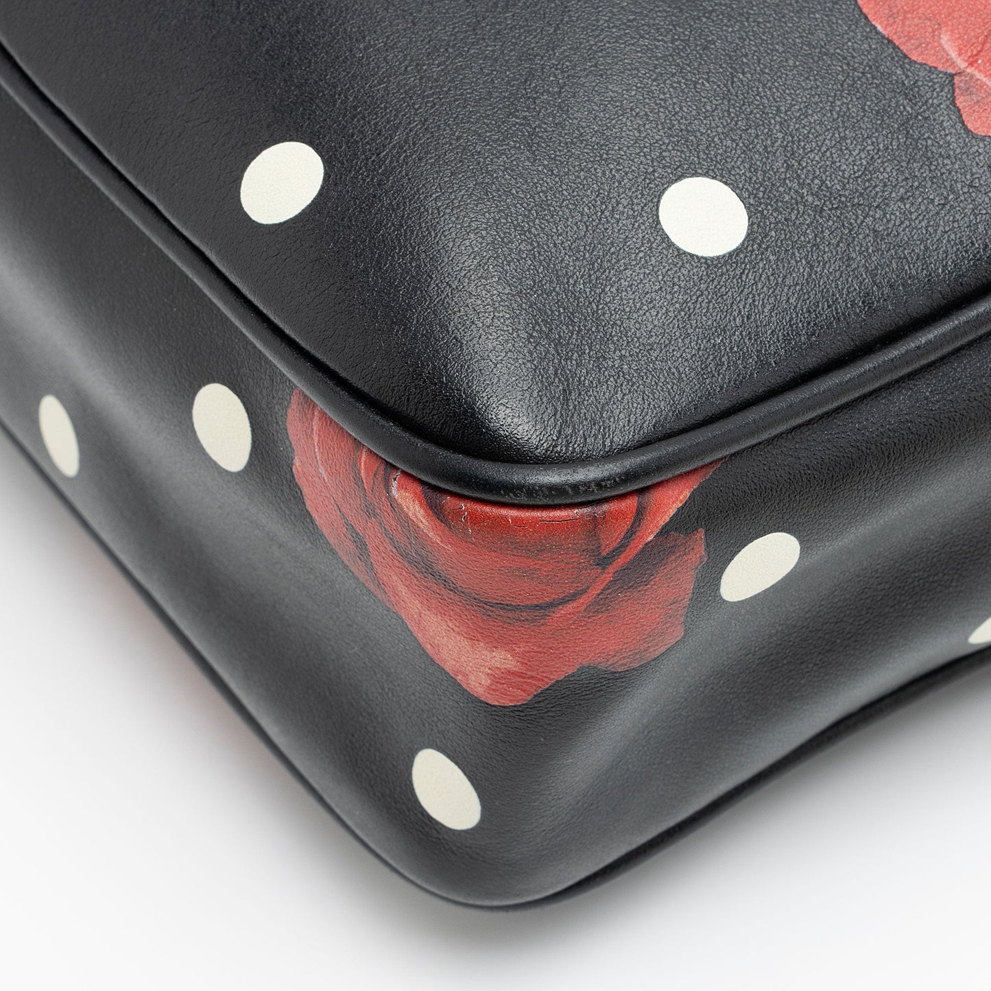 Saint Laurent Calfskin Rose Print Monogram Lou Camera Bag (SHF-fwd2tP)