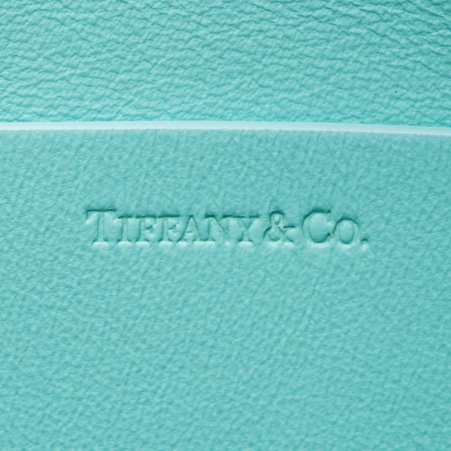 Tiffany & Co. Grained Calfskin Crossbody Bag (SHF-Nq3DCu)