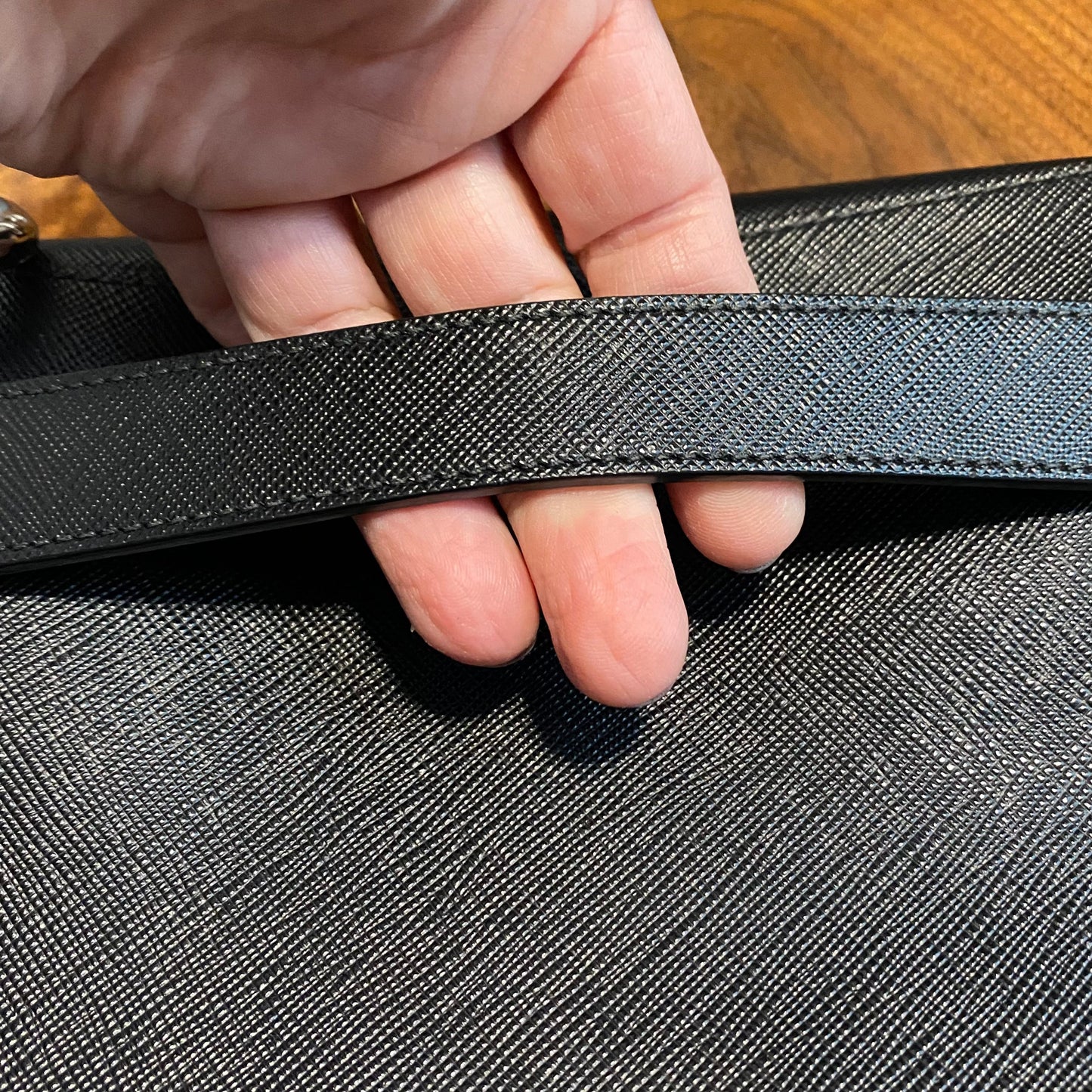The Swan -Orvis bags Prada Organizer with Studs Crossbody/Wristlet
