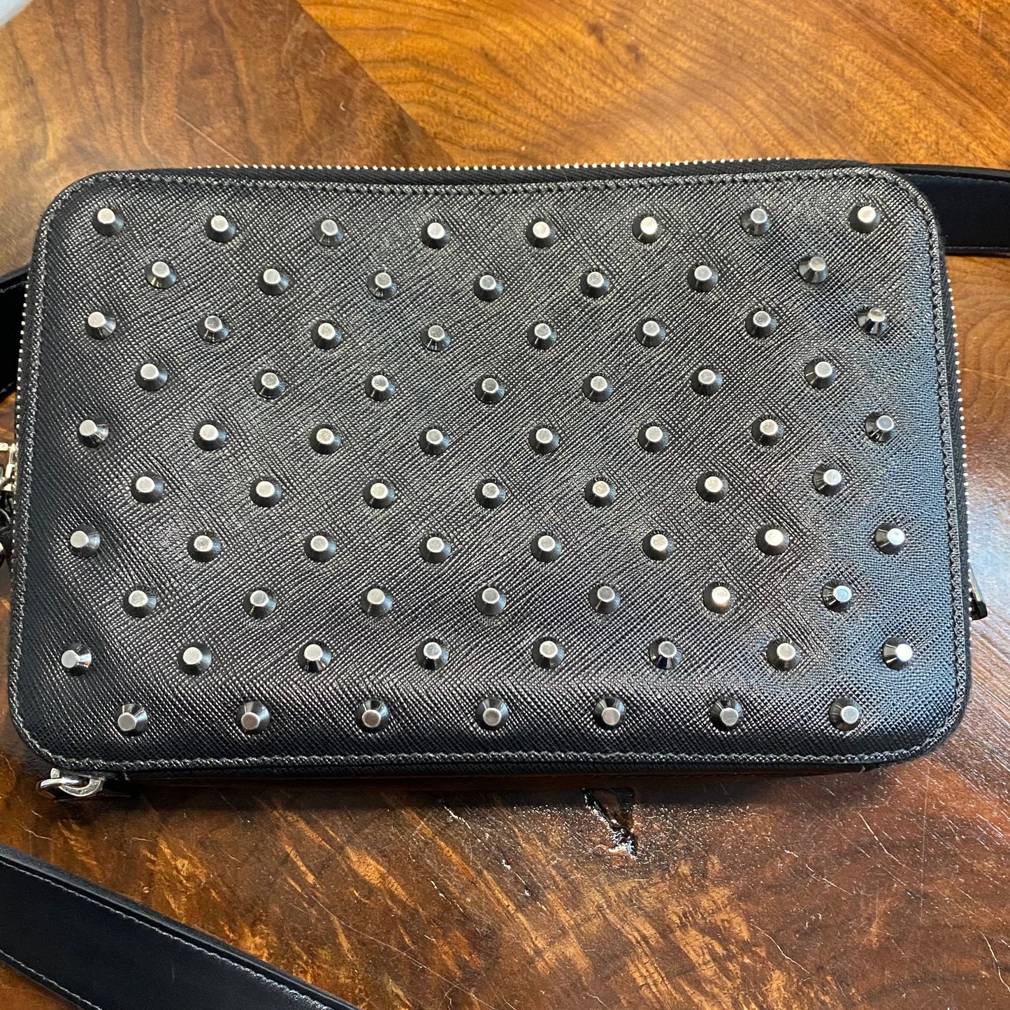 The Swan -Orvis bags Prada Organizer with Studs Crossbody/Wristlet