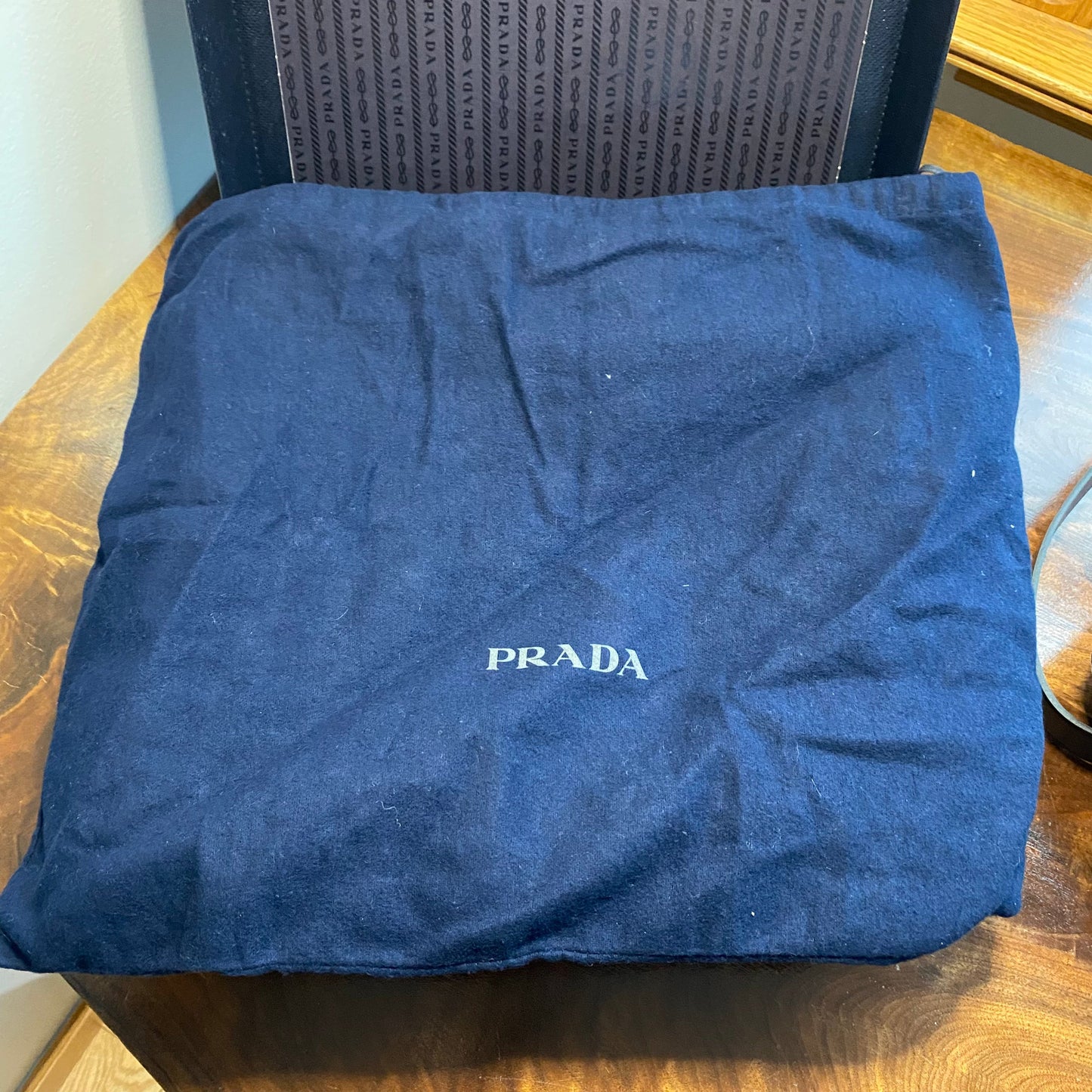 The Swan -Orvis bags Prada Organizer with Studs Crossbody/Wristlet